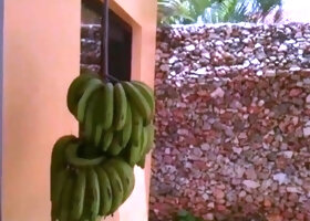 Valory Irene - Valory And The Banana