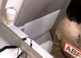 Eve Sweet Blows Her BF In The Airplane Restroom Till CIM